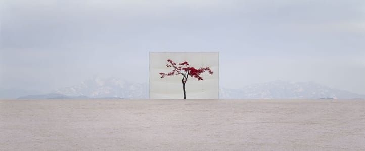 Artwork Title: Tree