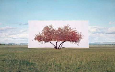 Artwork Title: Untitled