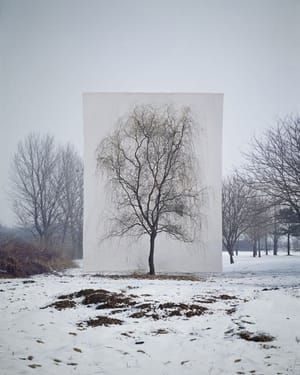 Artwork Title: Untitled