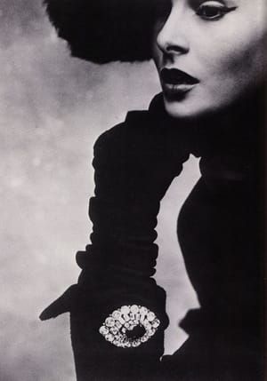 Artwork Title: Dior. Lisa Fonssagrives