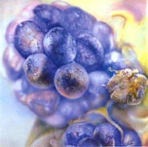 Artwork Title: Blackberry