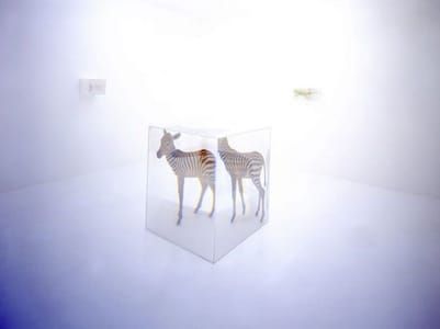 Artwork Title: PixCell(Zebra)