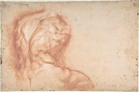 Artwork Title: Study of the Belvedere Torso