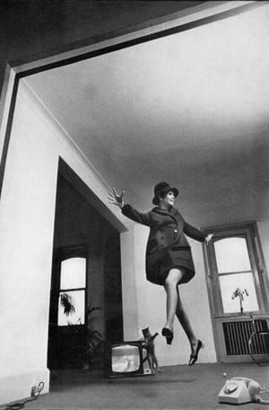 Artwork Title: Twiggy