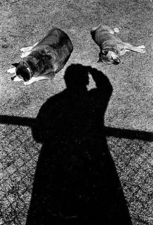 Artwork Title: Self Portrait with Dogs
