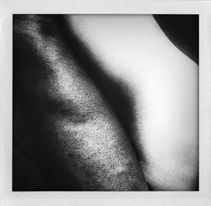 Artwork Title: Untitled