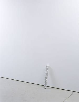 Artwork Title: White Dickinson FAITH IS DOUBT