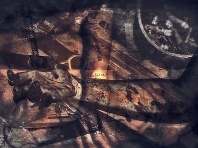 Artwork Title: Reflections