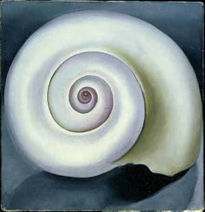 Artwork Title: Shell No. I