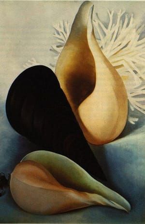 Artwork Title: Three Shells