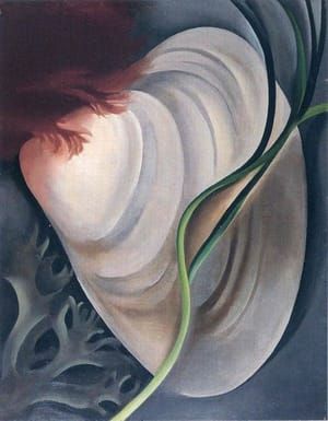 Artwork Title: Shell No. 2