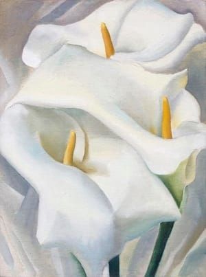 Artwork Title: Calla Lilies