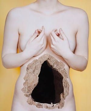 Artwork Title: Hollow