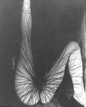 Artwork Title: Untitled