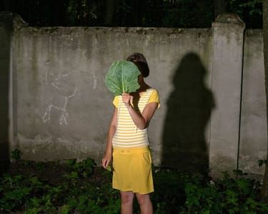 Artwork Title: Untitled
