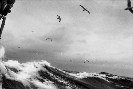 Artwork Title: Vague Série 2