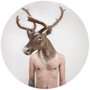 Artwork Title: Therianthrope