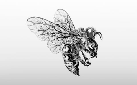 Artwork Title: Airborn