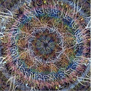 Artwork Title: An(n)us Mirabilis