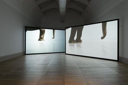 Artwork Title: Play Dead; Real Time (this way, that way, the other way)