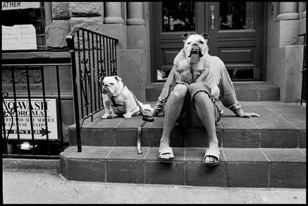 Artwork Title: Usa. New York City. 2000.