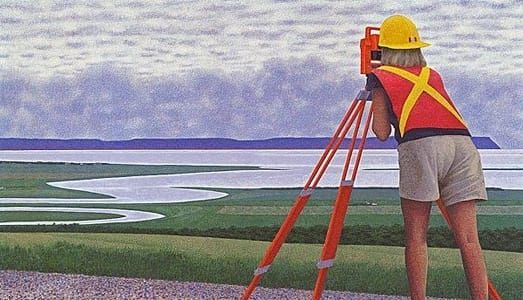 Artwork Title: Surveyor