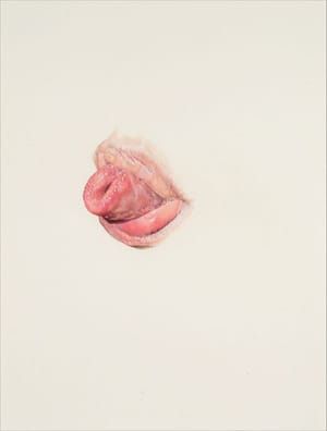 Artwork Title: Lickline #15