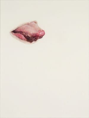 Artwork Title: Lickline #12