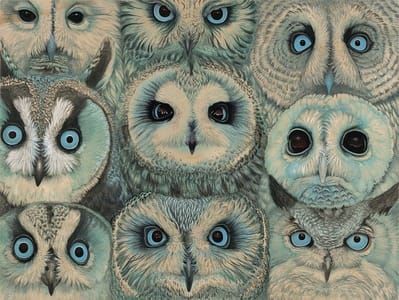 Artwork Title: Strigiformes