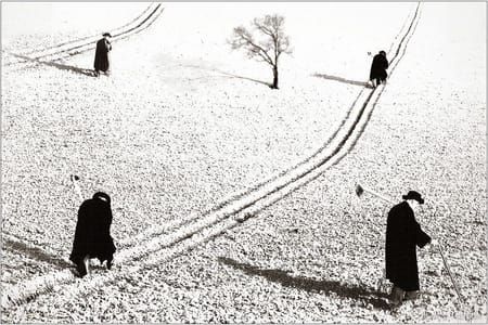 Artwork Title: Untitled