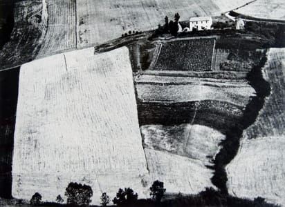 Artwork Title: Untitled