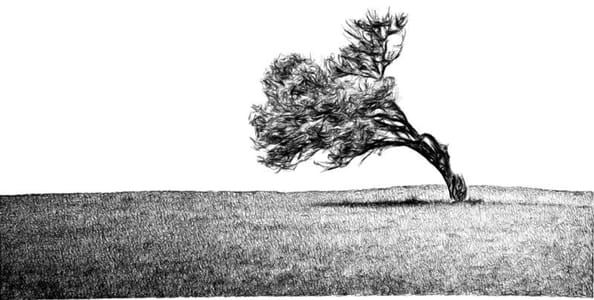 Artwork Title: Tree 1 1
