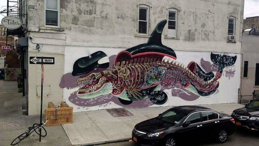 Artwork Title: Orca