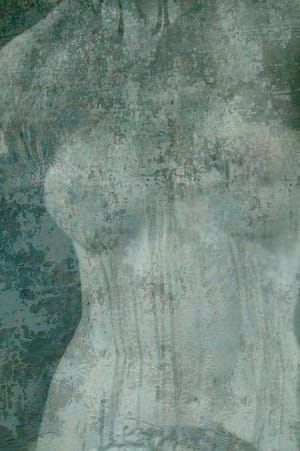 Artwork Title: Female Torso In Water