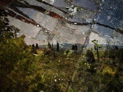 Artwork Title: Untitled