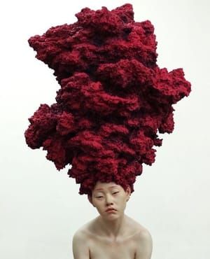 Artwork Title: The Dreamer Red