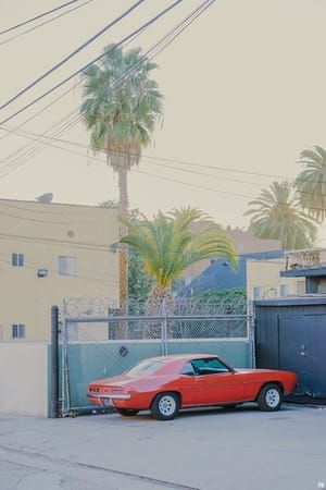 Artwork Title: Hollywood Lady, Los Angeles, CA