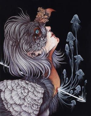 Artwork Title: The King Vulture's Queen