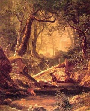 Artwork Title: White Mountains