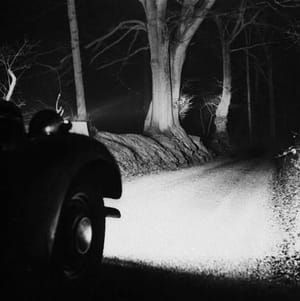 Artwork Title: Headlights