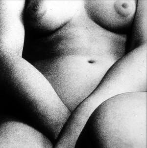Artwork Title: Untitled