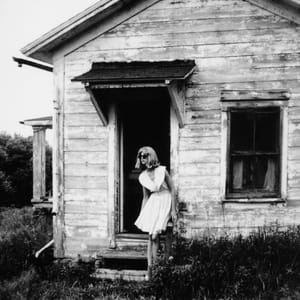 Artwork Title: Risky Business (from the series Shadows in Paradise)