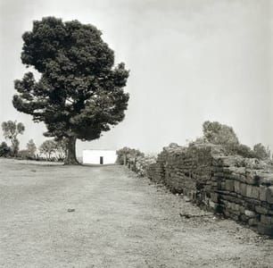 Artwork Title: Casa, Barda Y árbol