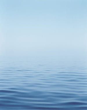 Artwork Title: Shiretoko #1
