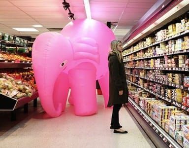 Artwork Title: Elephant Rose