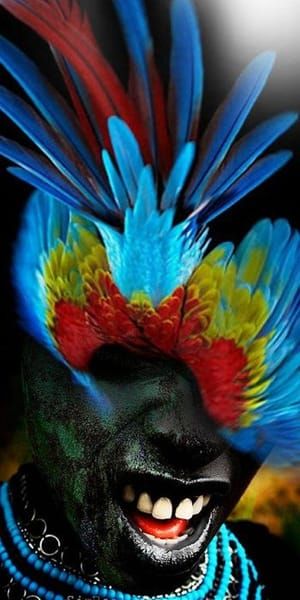 Artwork Title: A Man With A Bird In The Head