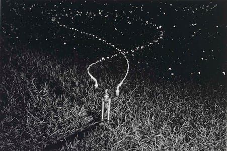 Artwork Title: Water Sprinkler