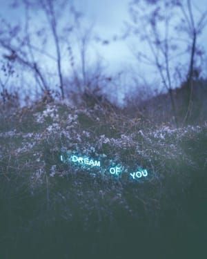 Artwork Title: I Dream Of You