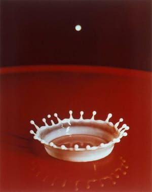 Artwork Title: Milk Drop Coronet