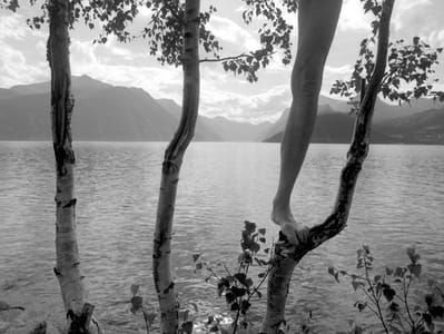 Artwork Title: Untitled